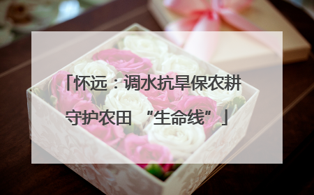 怀远：调水抗旱保农耕 守护农田 “生命线”