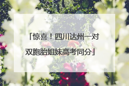 惊喜！四川达州一对双胞胎姐妹高考同分