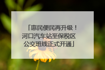 惠民便民再升级！河口汽车站至保税区公交班线正式开通