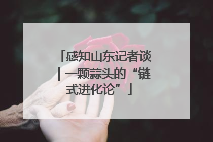 感知山东记者谈｜一颗蒜头的“链式进化论”