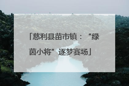 慈利县苗市镇：“绿茵小将”逐梦赛场