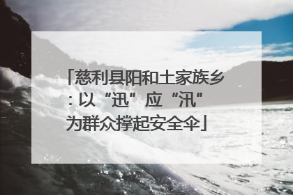 慈利县阳和土家族乡：以“迅”应“汛” 为群众撑起安全伞