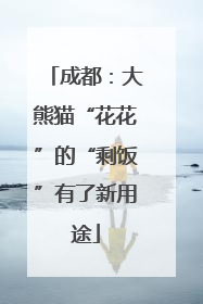 成都：大熊猫“花花”的“剩饭”有了新用途