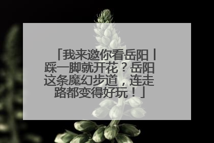 我来邀你看岳阳丨踩一脚就开花？岳阳这条魔幻步道，连走路都变得好玩！
