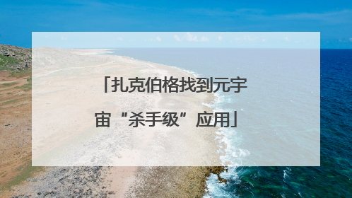 扎克伯格找到元宇宙“杀手级”应用