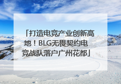 打造电竞产业创新高地！BLG无畏契约电竞战队落户广州花都