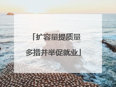扩容量提质量 多措并举促就业