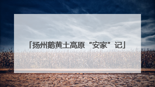 扬州鹅黄土高原“安家”记