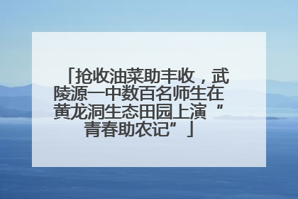 抢收油菜助丰收，武陵源一中数百名师生在黄龙洞生态田园上演“青春助农记”