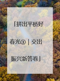 拼出平桥好春光③｜交出振兴新答卷