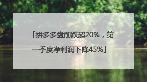 拼多多盘前跌超20%，第一季度净利润下降45%