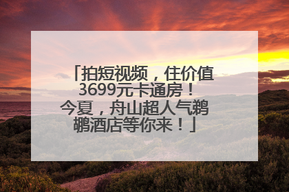 拍短视频，住价值3699元卡通房！今夏，舟山超人气鹈鹕酒店等你来！