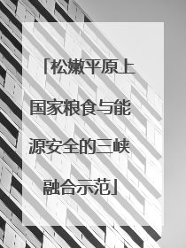 松嫩平原上国家粮食与能源安全的三峡融合示范