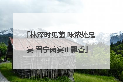 林深时见菌 味浓处是宴 晋宁菌宴正飘香