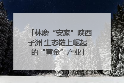 林麝“安家”陕西子洲 生态链上崛起的“黄金”产业