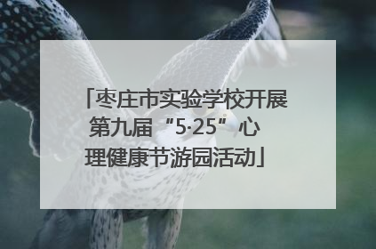 枣庄市实验学校开展第九届“5·25”心理健康节游园活动
