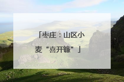 枣庄：山区小麦“喜开镰”