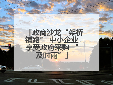 政商沙龙“架桥铺路” 中小企业享受政府采购 “及时雨”