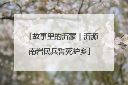 故事里的沂蒙｜沂源南岩民兵誓死护乡