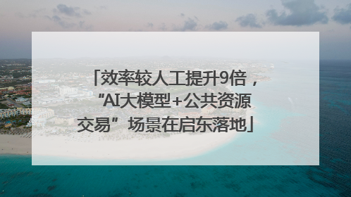 效率较人工提升9倍，“AI大模型+公共资源交易”场景在启东落地