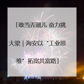 敢当弄潮儿 奋力挑大梁｜海安以“工业思维”拓宽共富路