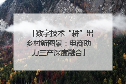 数字技术“耕”出乡村新图景：电商助力三产深度融合