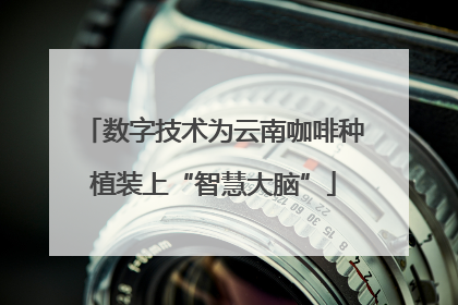 数字技术为云南咖啡种植装上“智慧大脑”