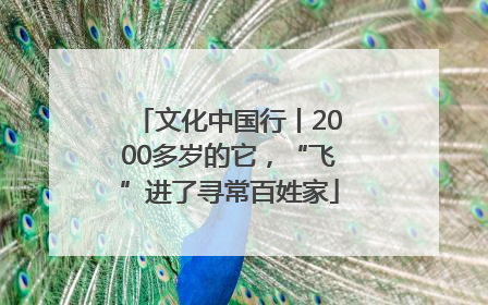 文化中国行丨2000多岁的它，“飞”进了寻常百姓家