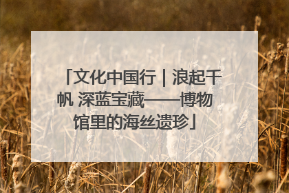 文化中国行｜浪起千帆 深蓝宝藏——博物馆里的海丝遗珍