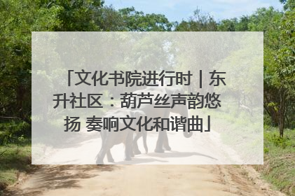 文化书院进行时｜东升社区：葫芦丝声韵悠扬 奏响文化和谐曲