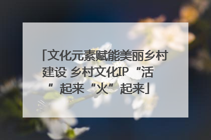 文化元素赋能美丽乡村建设 乡村文化IP“活”起来“火”起来