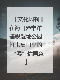 文化周刊丨在海口潭丰洋省级湿地公园打卡夏日里的“湿”情画意