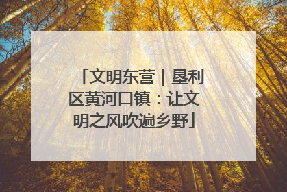 文明东营｜垦利区黄河口镇：让文明之风吹遍乡野
