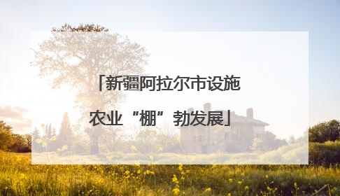 新疆阿拉尔市设施农业“棚”勃发展