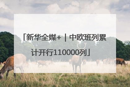 新华全媒+｜中欧班列累计开行110000列