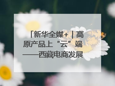 新华全媒+｜高原产品上“云”端——西藏电商发展一线观察