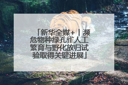 新华全媒+丨濒危物种绿孔雀人工繁育与野化放归试验取得关键进展