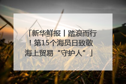 新华鲜报丨踏浪而行！第15个海员日致敬海上贸易“守护人”