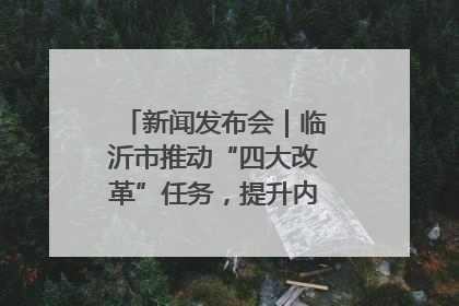 新闻发布会｜临沂市推动“四大改革”任务，提升内部审计监督效能