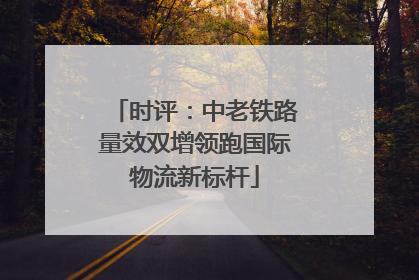 时评：中老铁路量效双增领跑国际物流新标杆
