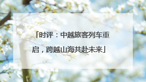 时评：中越旅客列车重启，跨越山海共赴未来
