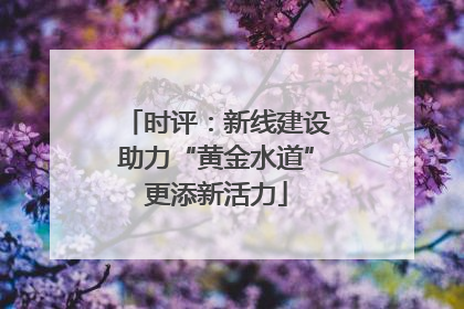 时评：新线建设助力“黄金水道”更添新活力