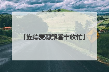 旌德麦穗飘香丰收忙