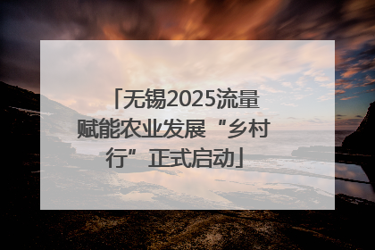 无锡2025流量赋能农业发展“乡村行”正式启动