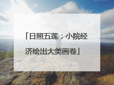 日照五莲：小院经济绘出大美画卷