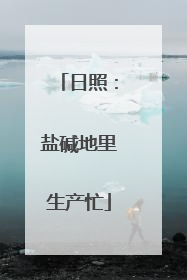 日照：盐碱地里生产忙