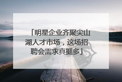 明星企业齐聚尖山湖人才市场，这场招聘会需求真挺多