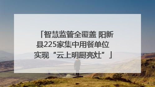 智慧监管全覆盖 阳新县225家集中用餐单位实现“云上明厨亮灶”