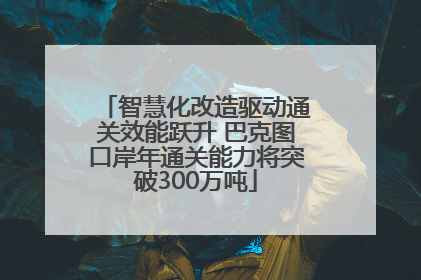 智慧化改造驱动通关效能跃升 巴克图口岸年通关能力将突破300万吨