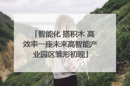 智能化 搭积木 高效率一座未来高智能产业园区雏形初现
